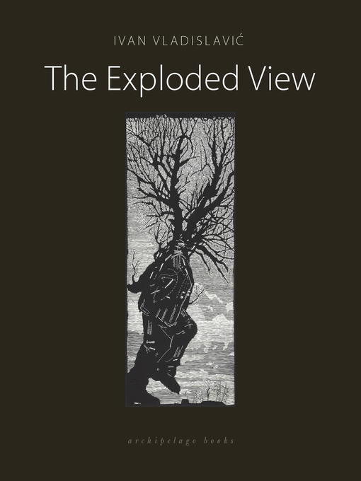 Cover image for The Exploded View